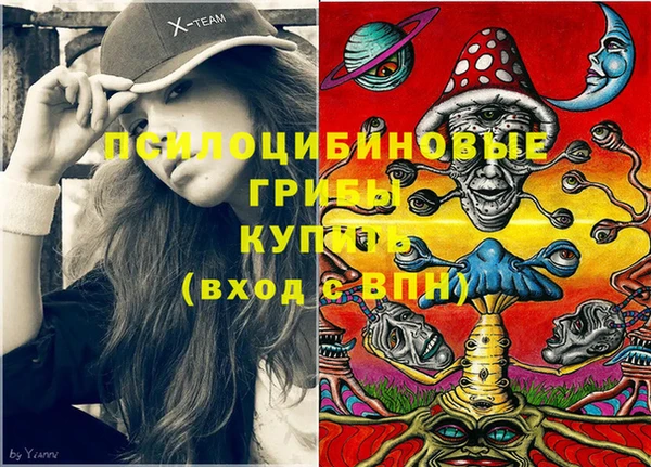 тгк Володарск