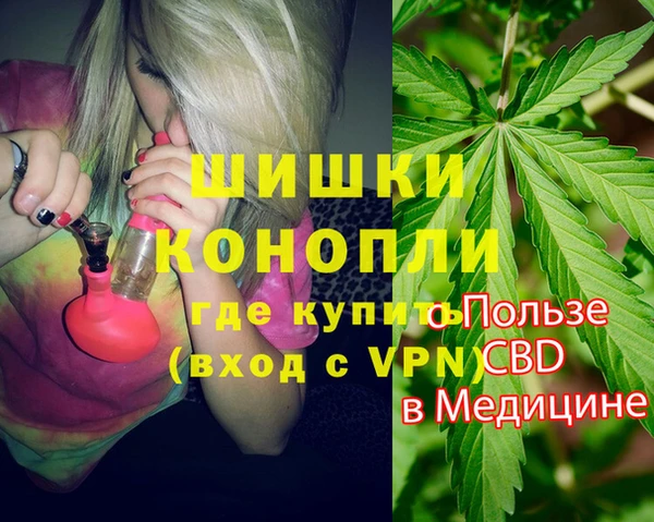 тгк Володарск