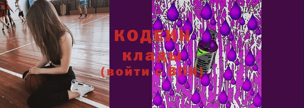 тгк Володарск