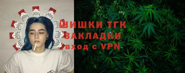 тгк Володарск
