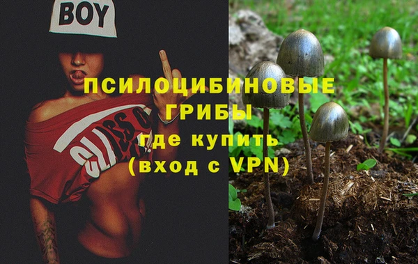 mdpv Волосово